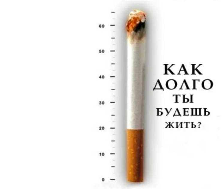 Курящие живут долго. Как долго ты будешь жить сигареты.